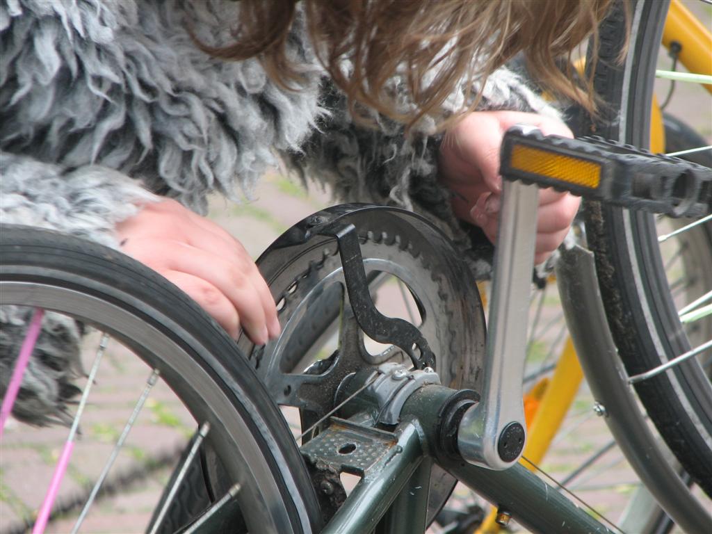 IMG_9829 (Large).jpg